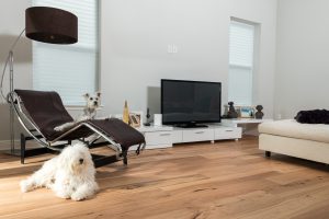 Wire-Brushed Natural Hickory Wood Flooring in Living Room with dogs and flatscreen