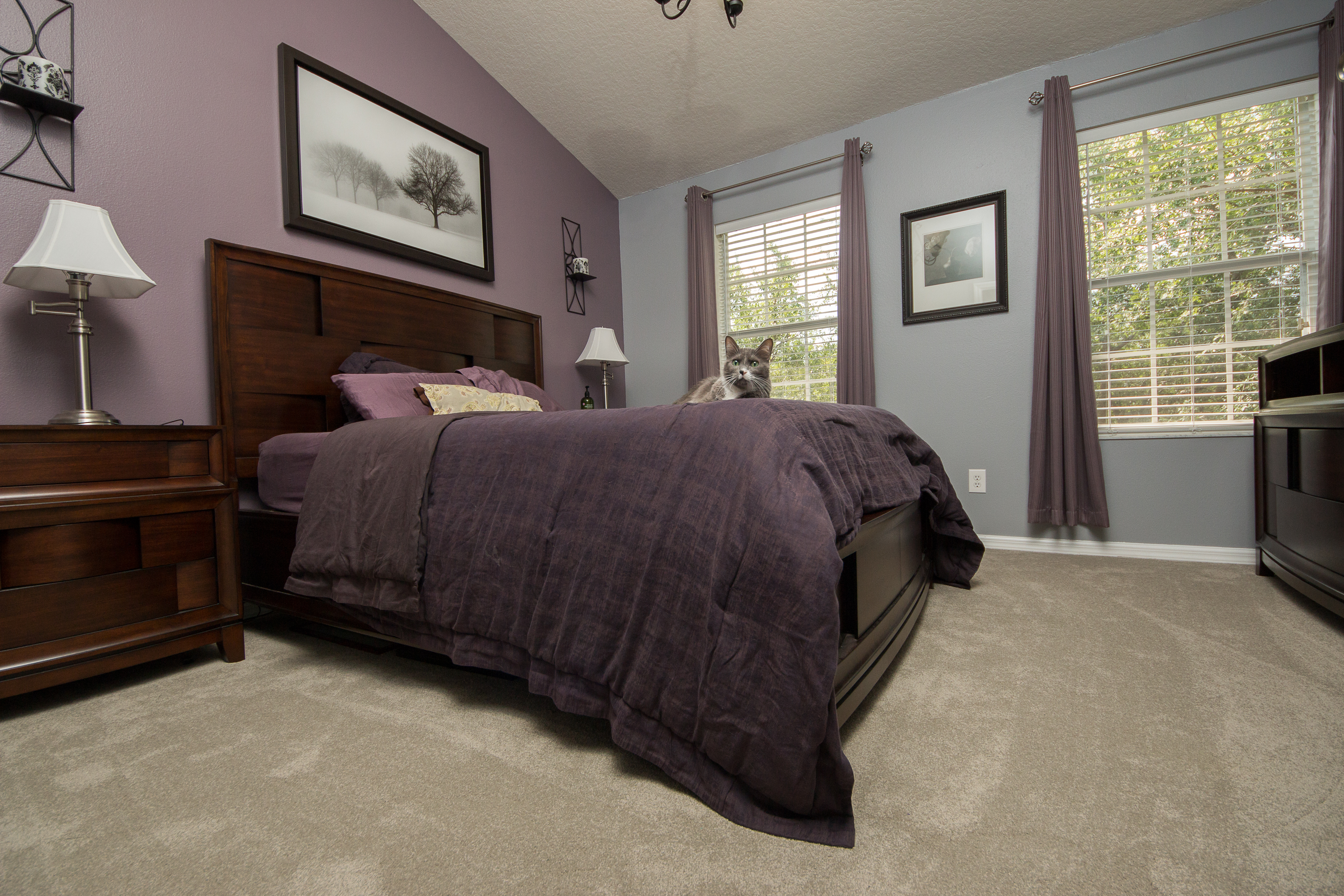 PVC Vinyl & Gray Carpet flooring in furnished master bedroom